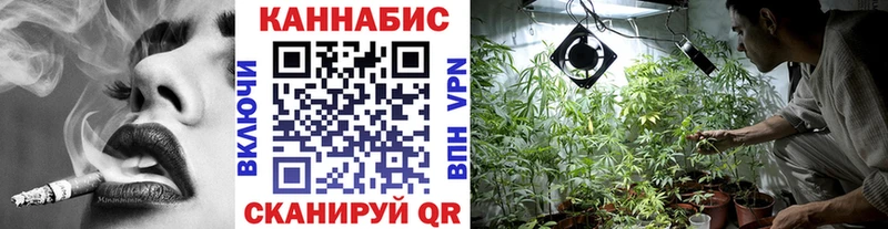 Бошки марихуана THC 21%  Белёв 